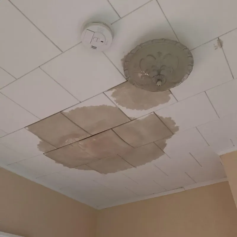 Ceiling Water Damage Repair in Eldridge, IA