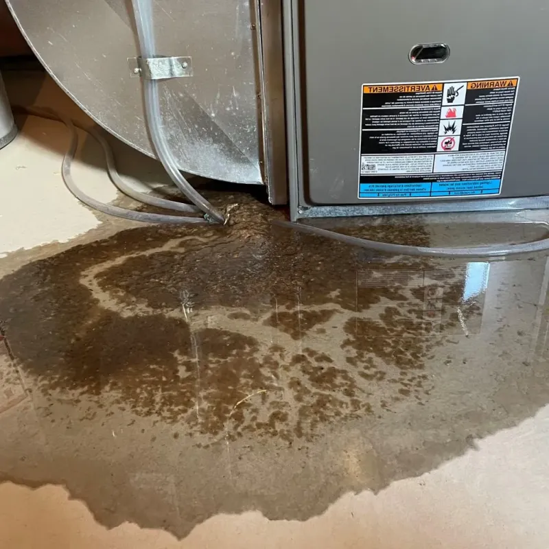 Pipe Burst and Leak Restoration in Eldridge, IA