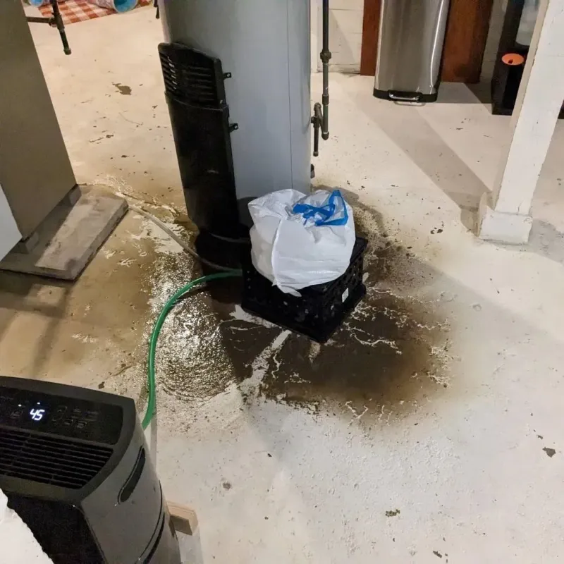 Sewage Backup Cleanup Service in Eldridge, IA